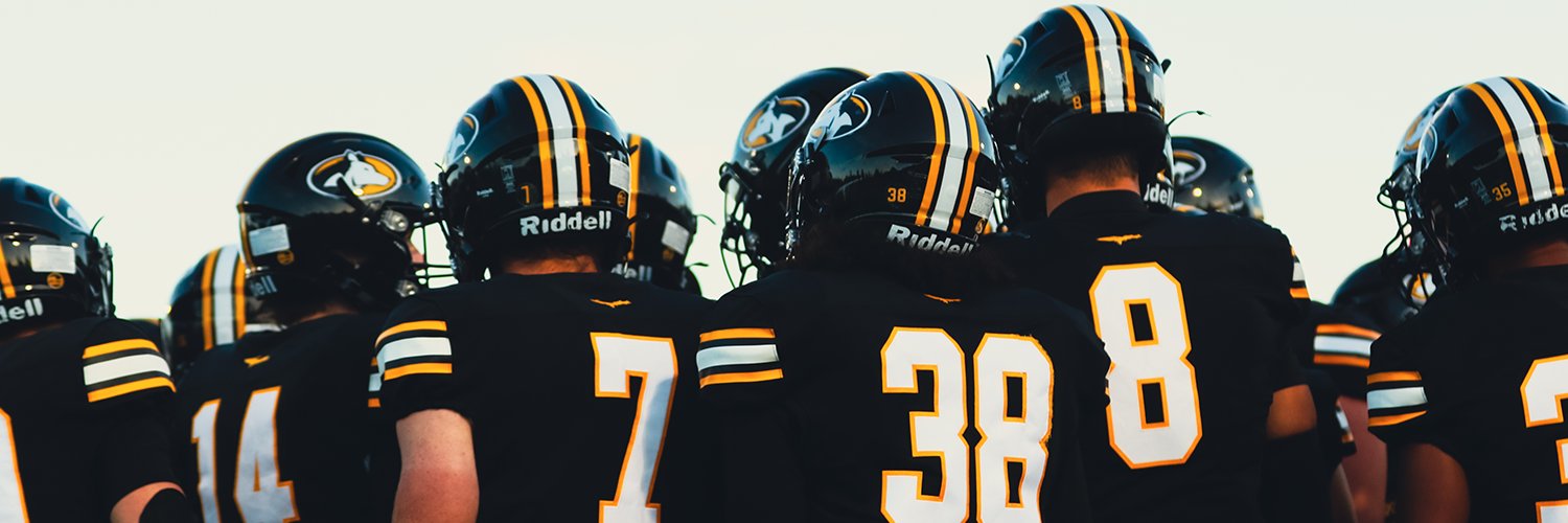 Michigan Tech Football's banner