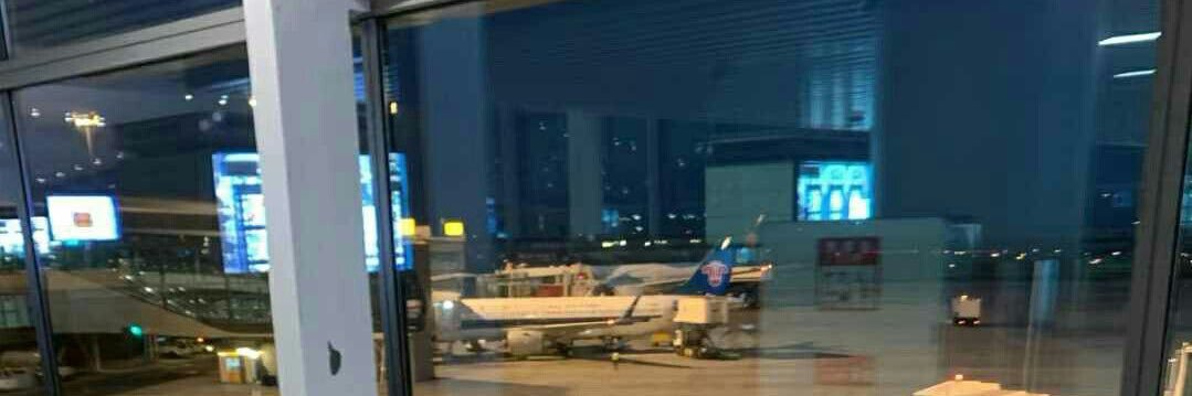 トラベルちゃん✈️'s banner