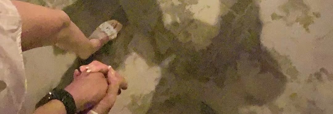 Rabbit🐇's banner