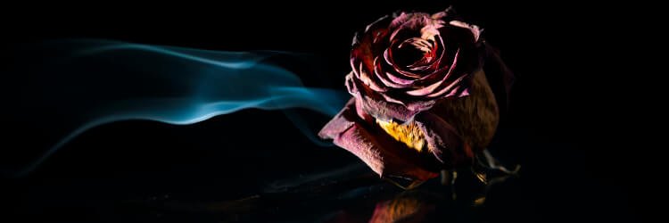 Master Damon's banner