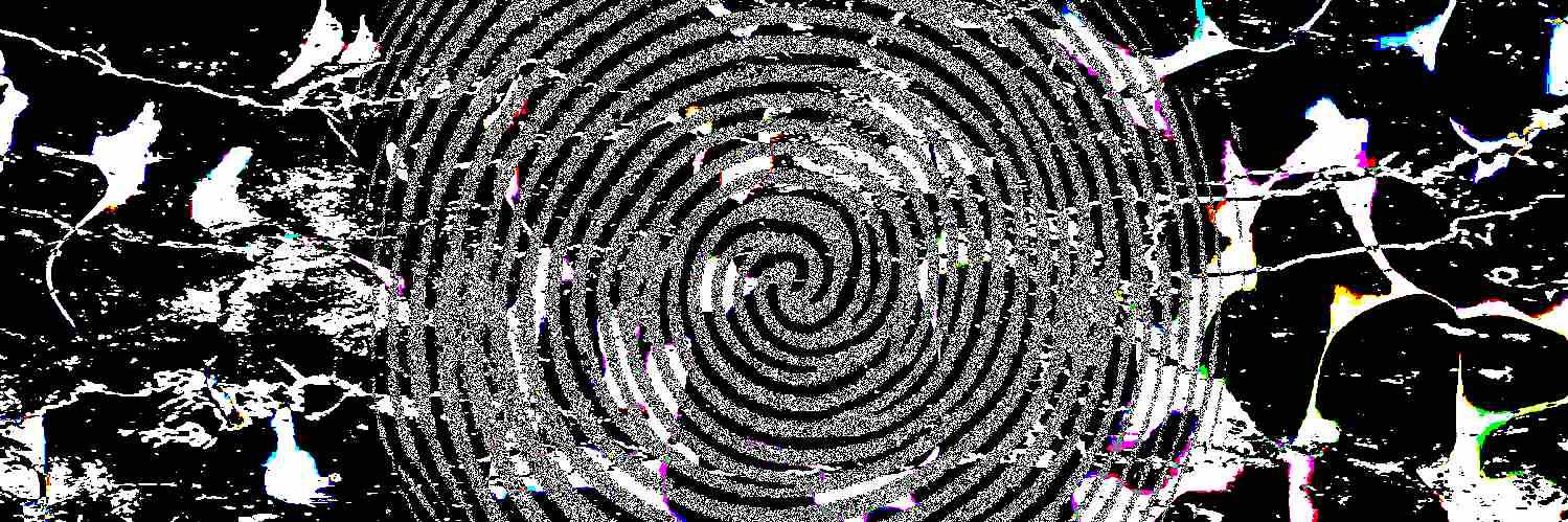 Sonicboi's banner