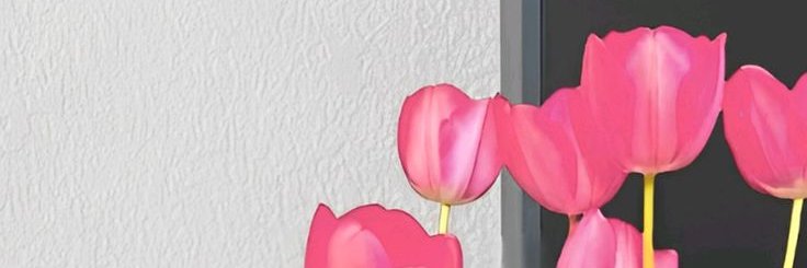 .'s banner