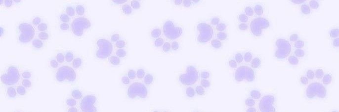 Rumis Chew Toy 🦴🐾's banner