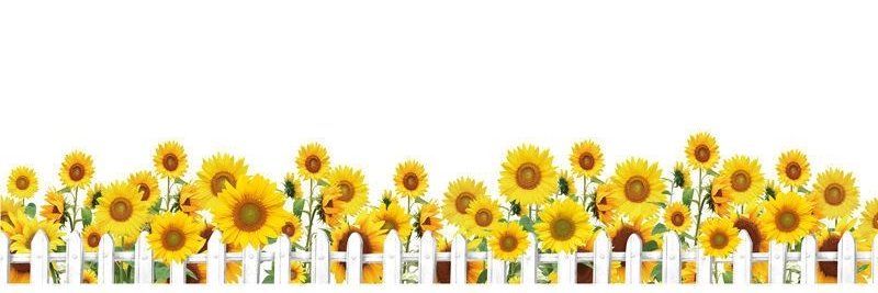 .รักสนุกไม่ชอบผูกพันธ์💕's banner