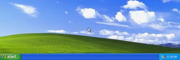 동동이's banner