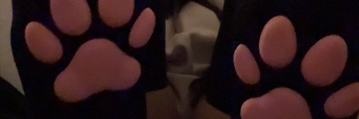 princess arii 🐾's banner