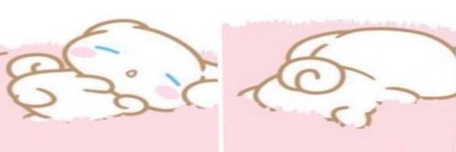 🍦Sana ྀིྀིྀིྀིྀི's banner