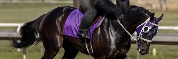 Save Horse Racing's banner