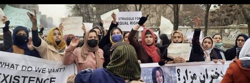 Zarmina Paryani's banner