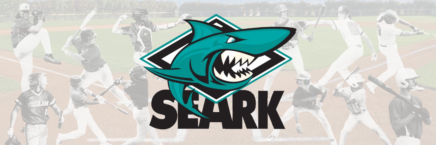 SEARK Baseball's banner