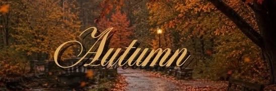 canki🍂🦇's banner