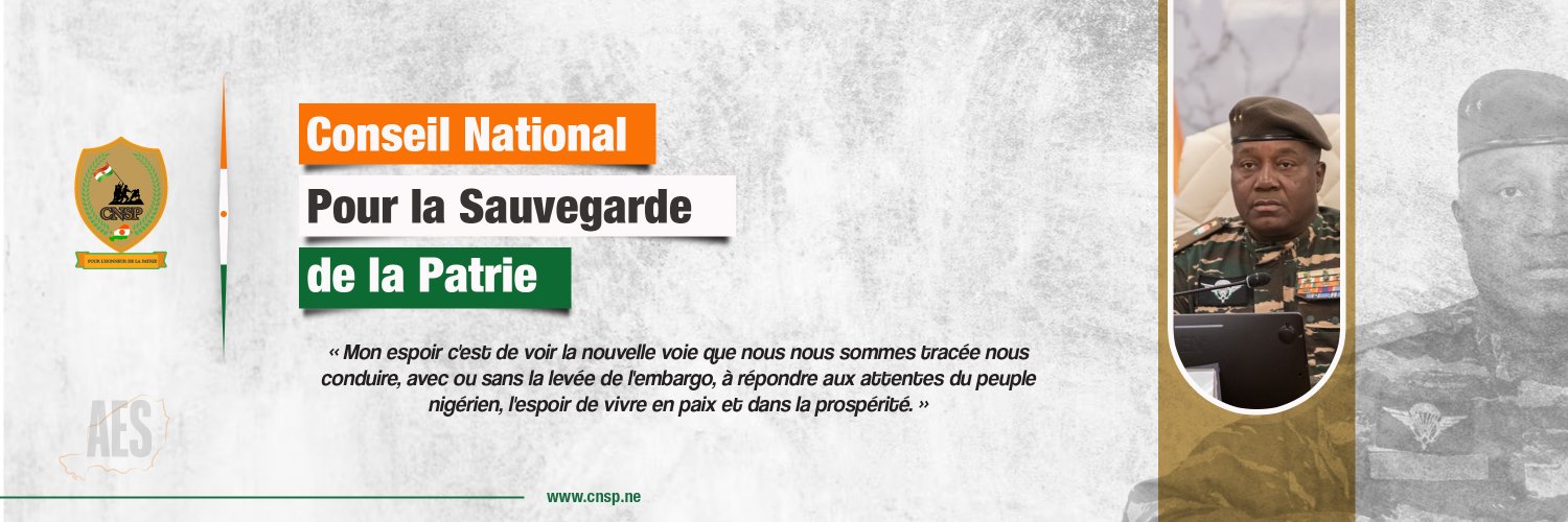 Conseil National pour la Sauvegarde de la Patrie's banner