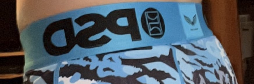 PSDSagger's banner