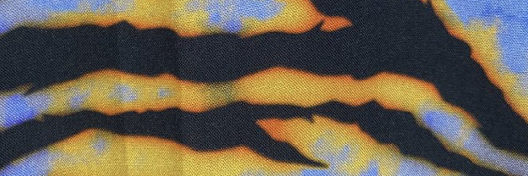 cor's banner