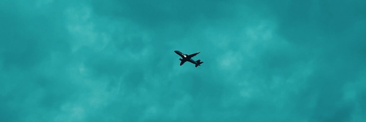 L's banner