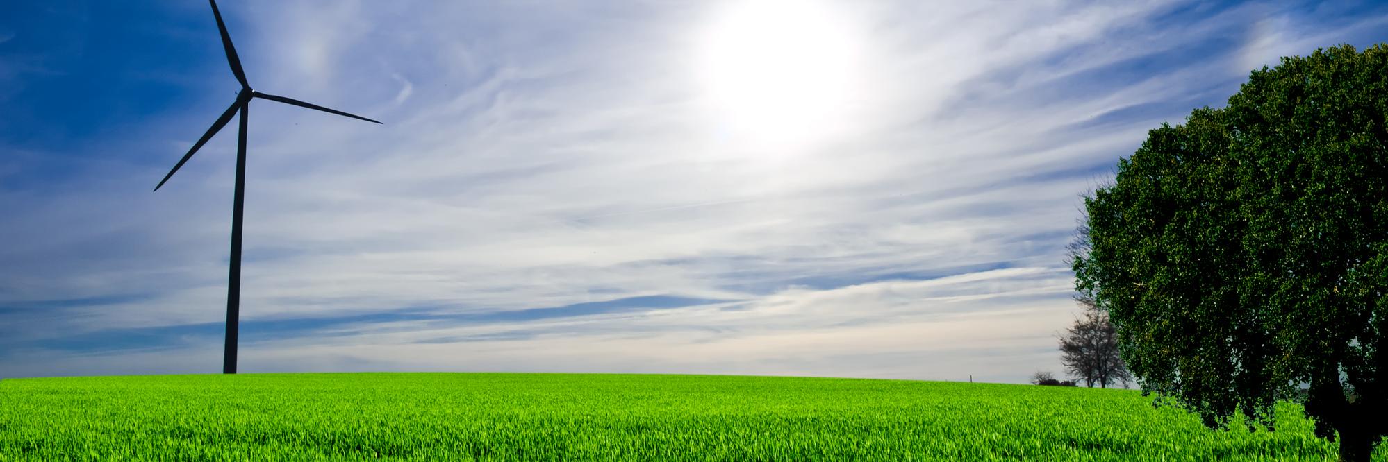 Grant Elliott's banner