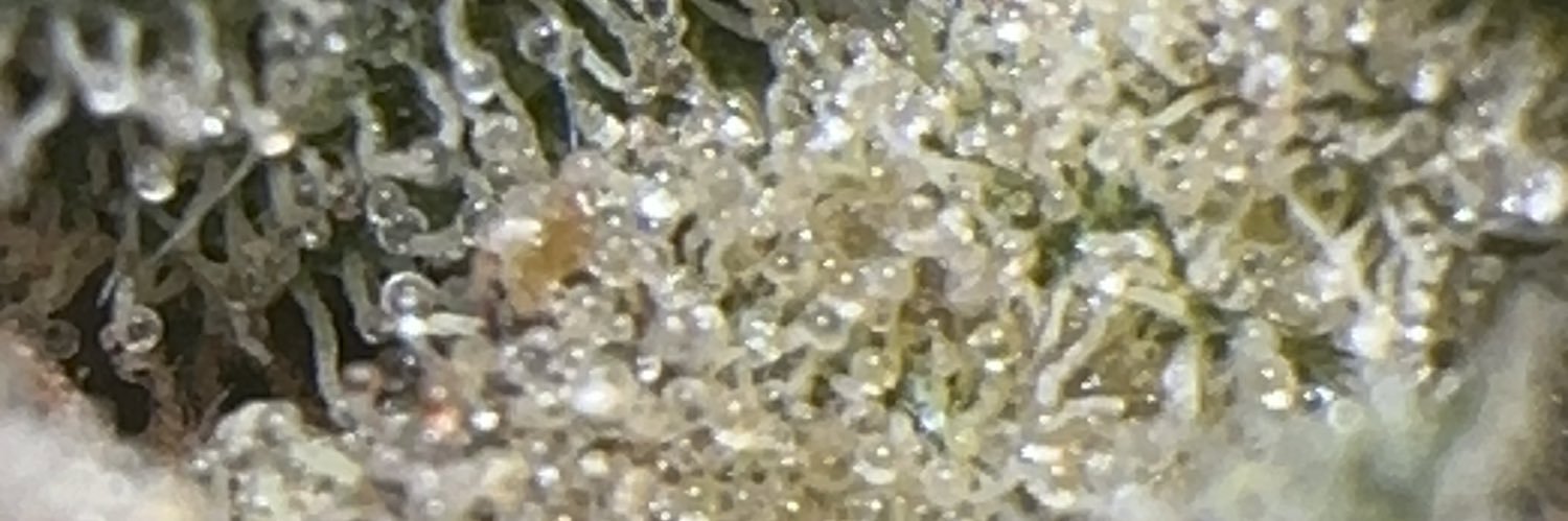 ifearmids's banner