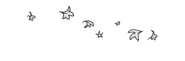 zee's banner