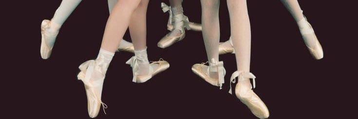 𝐇𝐚𝐥𝐞𝐲 ❧'s banner