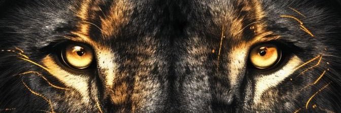 S's banner