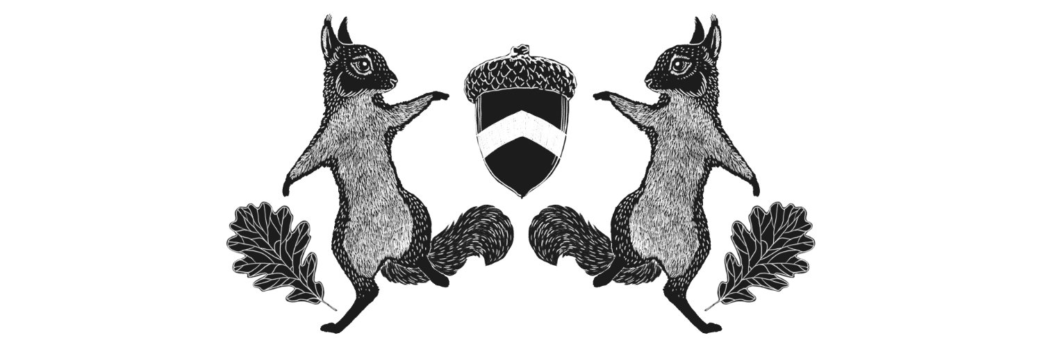 SΛGΛ's banner