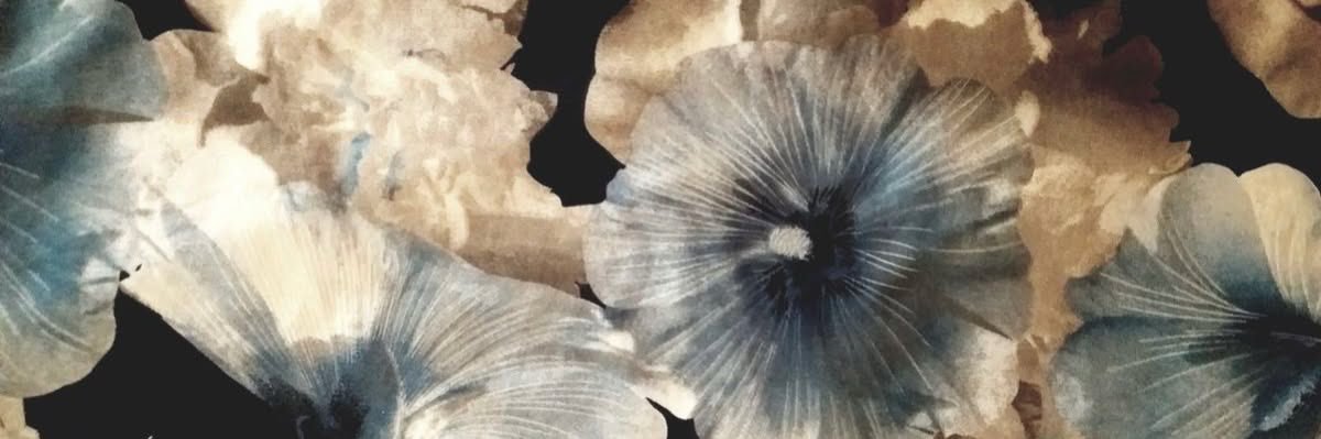 ۟'s banner