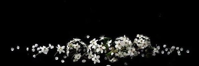 ۟'s banner
