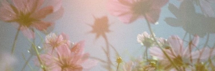 shan ꕤ 3's banner