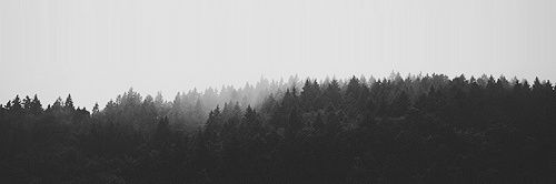 روزآ's banner