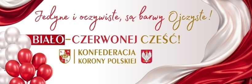 Diana Ruchniewicz #KORONA2027's banner
