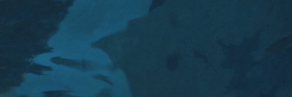 Andrèa M's banner