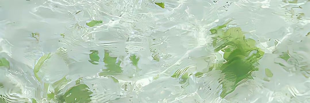 邪恶马铃薯's banner