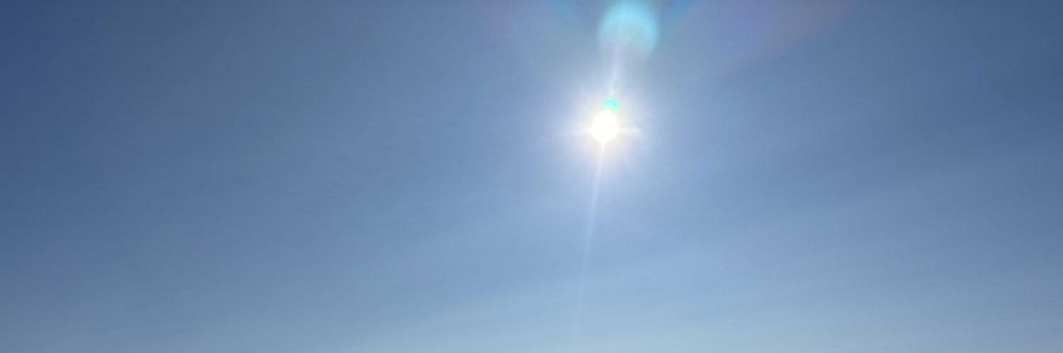 我不是懒羊羊我叫潇洒哥's banner
