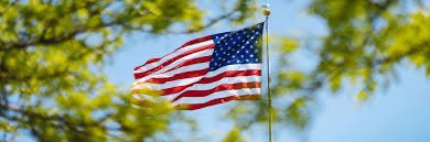Liberty Pulse's banner