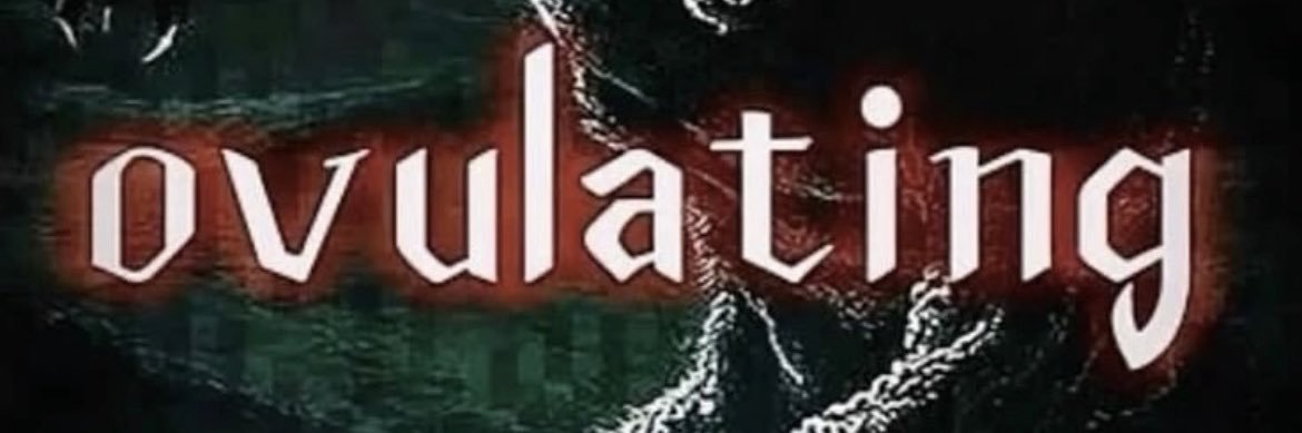 Willow Wolfe's banner