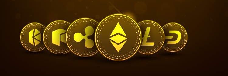 The Malluminati🦉's banner