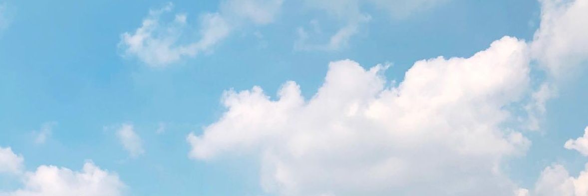 몽's banner