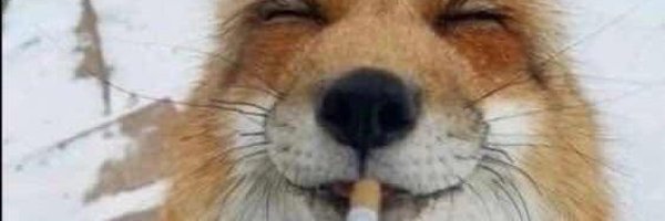 Smthingdifrnt's banner