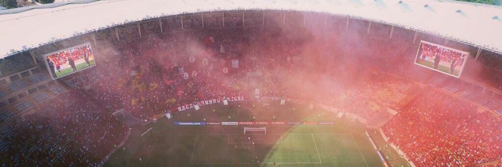 gaby ferraz's banner