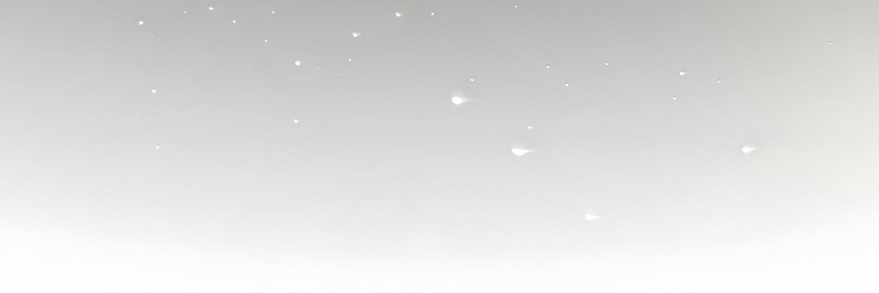 Flora's banner