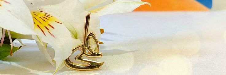 ᯓ𑣲A˚˖𓍢ִ໋🦢˚'s banner