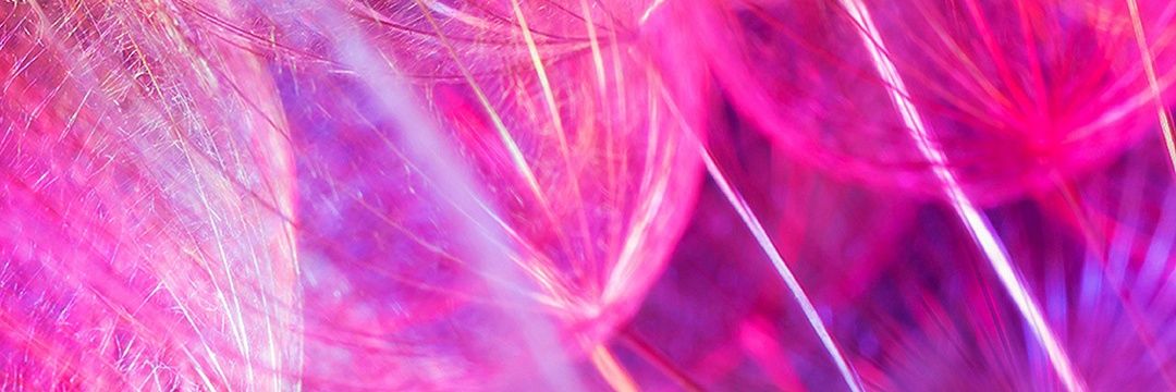 🌸KAKI🌸FollowBack💯😊🐶🐱🐦🌈🌺💐🍀🌼🌳Welcome✴️'s banner