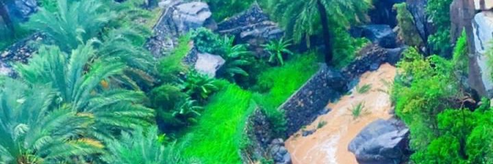 راشد الربيعي's banner