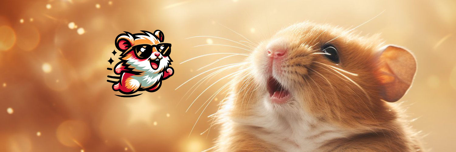 HamsterNFT 🐹's banner