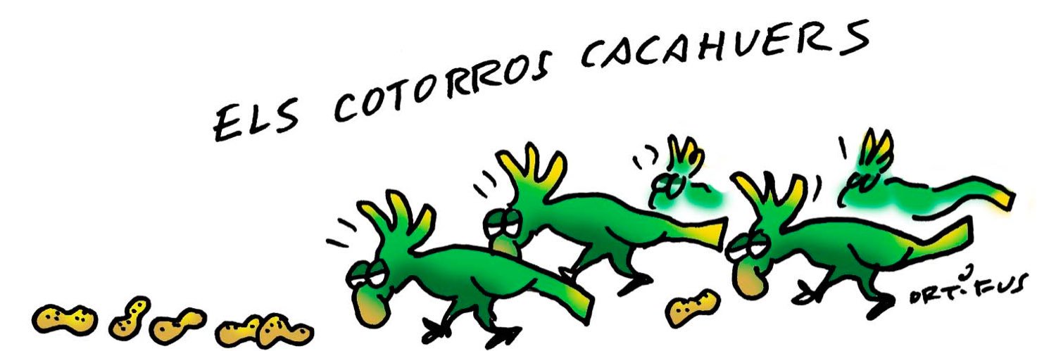 🥜 cacauencorfa 🥜's banner