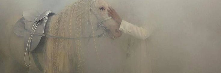 abyss's banner