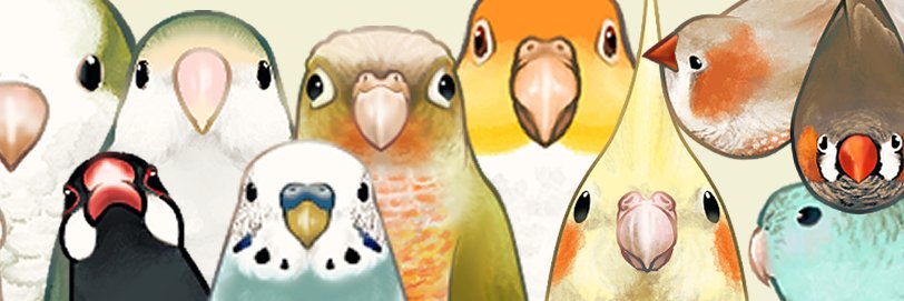 ほっぺ　鳥フェス博多12/5&6's banner