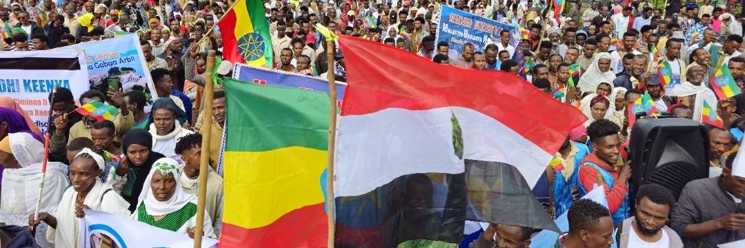 Ahmed's banner