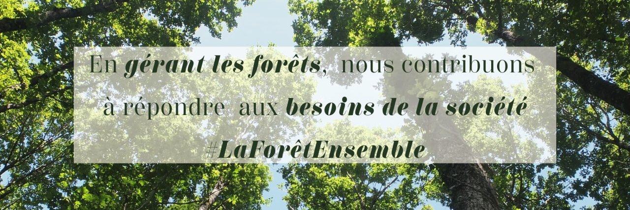 UCFF - Les Coopératives Forestières 🇫🇷's banner