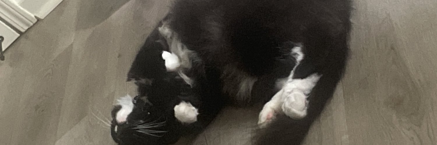 Twinkie➿'s banner